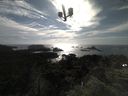 ./images/calvert/lookout/20210702/lookout20210702_175001.jpg