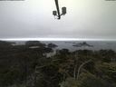 ./images/calvert/lookout/20210703/lookout20210703_053501.jpg