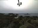 ./images/calvert/lookout/20210703/lookout20210703_081502.jpg