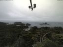 ./images/calvert/lookout/20210703/lookout20210703_091501.jpg