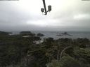 ./images/calvert/lookout/20210703/lookout20210703_094501.jpg