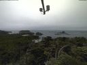 ./images/calvert/lookout/20210703/lookout20210703_100002.jpg
