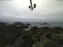 ./images/calvert/lookout/20210703/lookout20210703_103502.jpg