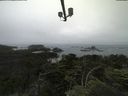 ./images/calvert/lookout/20210703/lookout20210703_105501.jpg