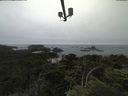./images/calvert/lookout/20210703/lookout20210703_111501.jpg