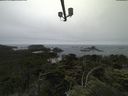 ./images/calvert/lookout/20210703/lookout20210703_112001.jpg