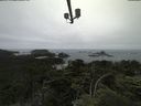./images/calvert/lookout/20210703/lookout20210703_112501.jpg