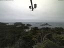 ./images/calvert/lookout/20210703/lookout20210703_114501.jpg