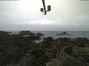 ./images/calvert/lookout/20210703/lookout20210703_115001.jpg