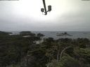 ./images/calvert/lookout/20210703/lookout20210703_115502.jpg