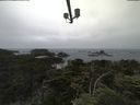./images/calvert/lookout/20210703/lookout20210703_120502.jpg