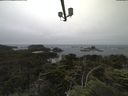 ./images/calvert/lookout/20210703/lookout20210703_121002.jpg