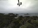 ./images/calvert/lookout/20210703/lookout20210703_122502.jpg