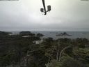 ./images/calvert/lookout/20210703/lookout20210703_123501.jpg