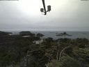 ./images/calvert/lookout/20210703/lookout20210703_124001.jpg