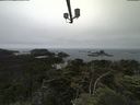 ./images/calvert/lookout/20210703/lookout20210703_124501.jpg