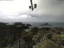 ./images/calvert/lookout/20210703/lookout20210703_134501.jpg