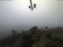 ./images/calvert/lookout/20210704/lookout20210704_053501.jpg
