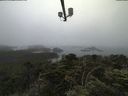 ./images/calvert/lookout/20210704/lookout20210704_080501.jpg