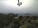 ./images/calvert/lookout/20210704/lookout20210704_101001.jpg