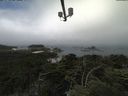 ./images/calvert/lookout/20210704/lookout20210704_111001.jpg