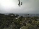 ./images/calvert/lookout/20210704/lookout20210704_121502.jpg