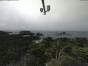 ./images/calvert/lookout/20210704/lookout20210704_124002.jpg