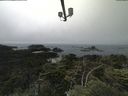 ./images/calvert/lookout/20210704/lookout20210704_124502.jpg