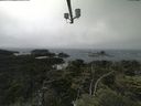./images/calvert/lookout/20210704/lookout20210704_125501.jpg