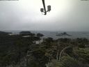 ./images/calvert/lookout/20210704/lookout20210704_131001.jpg