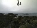 ./images/calvert/lookout/20210704/lookout20210704_132501.jpg
