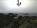 ./images/calvert/lookout/20210704/lookout20210704_133501.jpg
