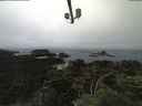 ./images/calvert/lookout/20210704/lookout20210704_134001.jpg