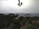 ./images/calvert/lookout/20210704/lookout20210704_134501.jpg