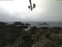 ./images/calvert/lookout/20210704/lookout20210704_135001.jpg