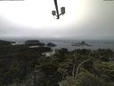 ./images/calvert/lookout/20210704/lookout20210704_140501.jpg