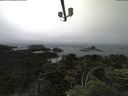 ./images/calvert/lookout/20210704/lookout20210704_141002.jpg