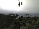./images/calvert/lookout/20210704/lookout20210704_142002.jpg