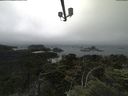 ./images/calvert/lookout/20210704/lookout20210704_142502.jpg