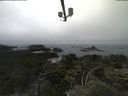 ./images/calvert/lookout/20210704/lookout20210704_144501.jpg