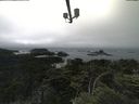 ./images/calvert/lookout/20210704/lookout20210704_150501.jpg