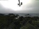 ./images/calvert/lookout/20210704/lookout20210704_151501.jpg