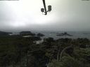 ./images/calvert/lookout/20210704/lookout20210704_152501.jpg