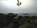 ./images/calvert/lookout/20210704/lookout20210704_153501.jpg