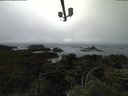 ./images/calvert/lookout/20210704/lookout20210704_154501.jpg
