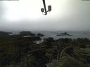 ./images/calvert/lookout/20210704/lookout20210704_155502.jpg