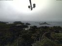 ./images/calvert/lookout/20210704/lookout20210704_160502.jpg