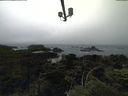 ./images/calvert/lookout/20210704/lookout20210704_161502.jpg