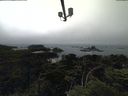 ./images/calvert/lookout/20210704/lookout20210704_162002.jpg
