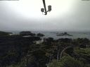 ./images/calvert/lookout/20210704/lookout20210704_162502.jpg